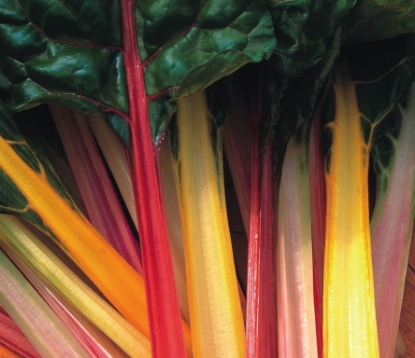 Picture of Chard Rainbow Mixed